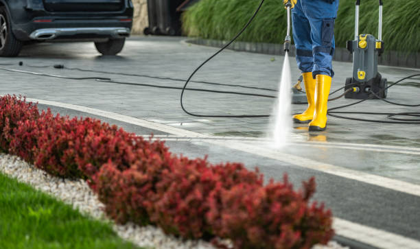 Best Roof Power Washing Services  in Mechanicsville, MD
