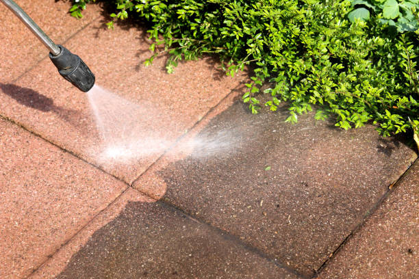 Best Local Pressure Washing Services  in Mechanicsville, MD